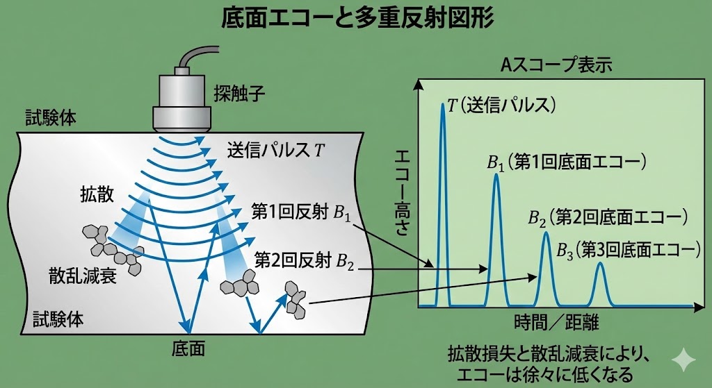 底面エコーと多重反射の仕組み