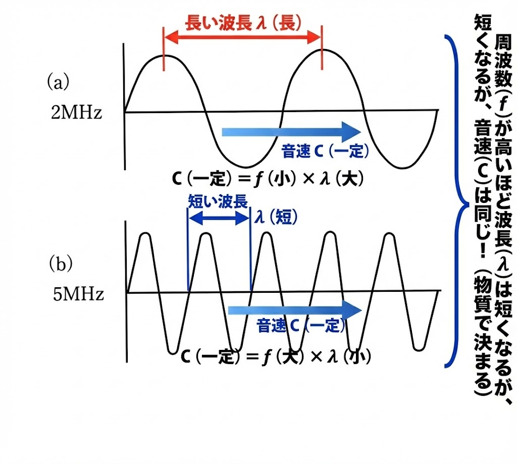 2MHzと5MHzの波長の比較図